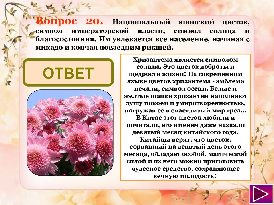 цветы символизирующие власть. герб лилии. королевская лилия символ значение. лилия французских королей геральдическая. символы королевской власти.
