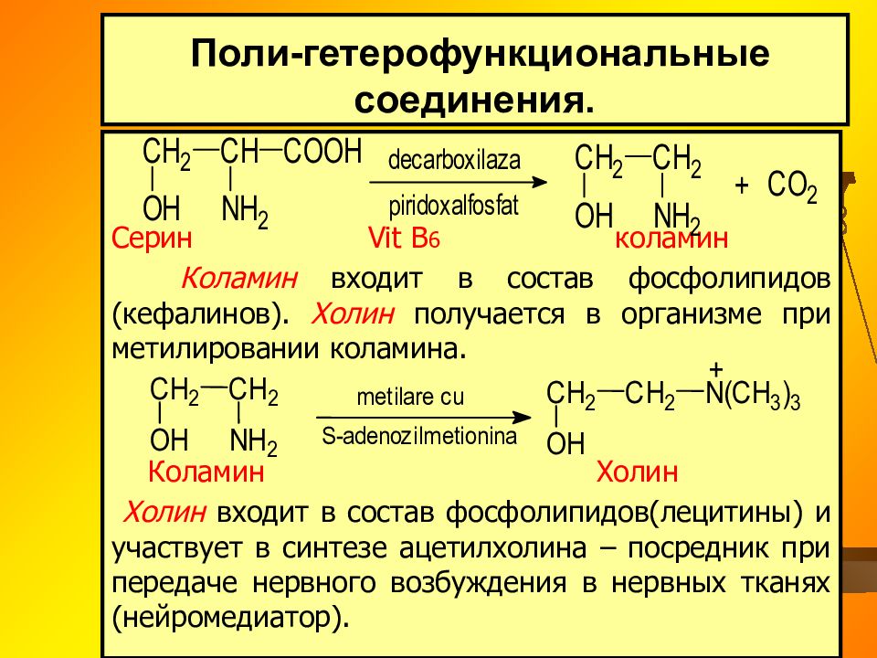 Поли и гетерофункциональные соединения презентация