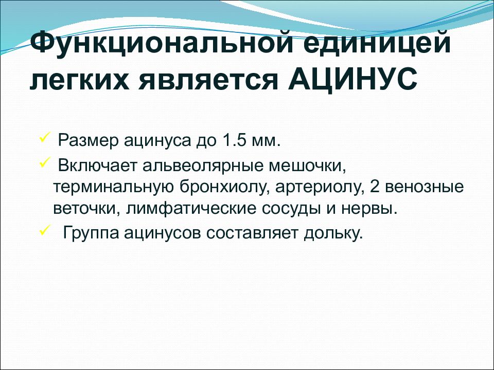 Легкий ед. Функциональной единицей легких является. Алгоритм лучевого исследования при травме грудной клетки. Функциональная единица легкого. Функциональная единица легких.