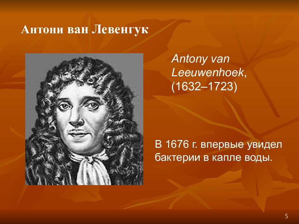 Ван левенгук. Антони Ван Левенгук микробиология. Антони Ван Левенгук вклад в микробиологию. 1673 Году Антони Ван Левенгук. 1676 Году голландский натуралист Антони Ван Левенгук.