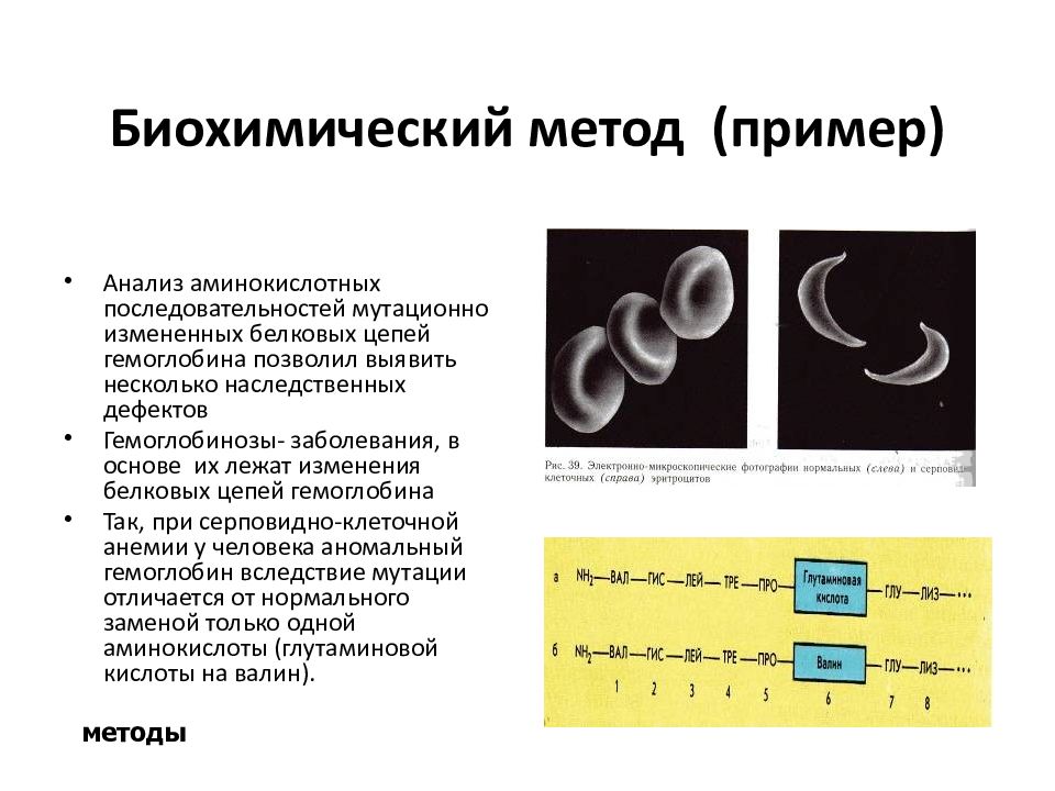 Наследственные болезни человека презентация биология 11 класс