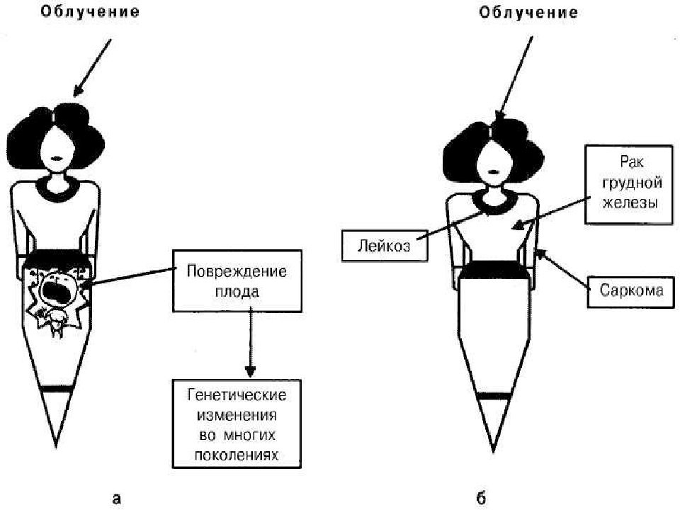 неблагоприятное воздействие облучения на медсестру. ограничение медицинского облучения. неблагоприятное воздействие облучения на медсестру. неблагоприятные воздействия на организм медсестры. влияние радиации на организм медсестры.