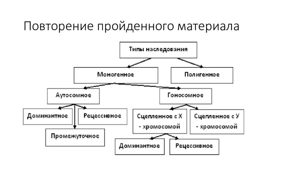 Типы наследования генов. Типы наследования признаков схема. Перечислите основные типы наследования признаков. Наследование типы наследования. Тип и характер наследования признака.