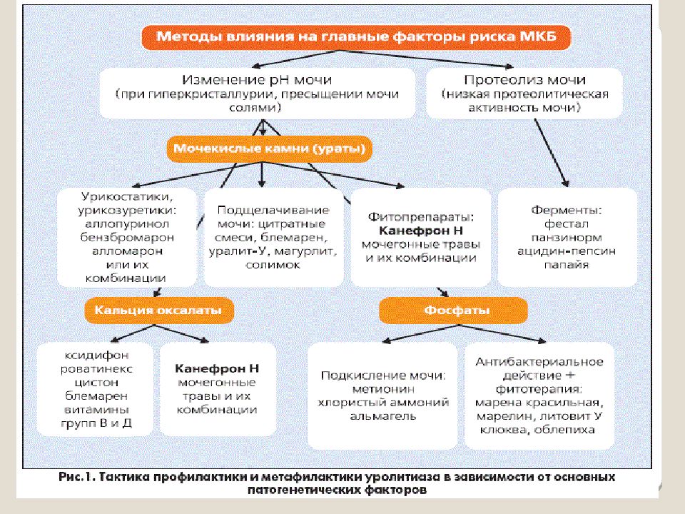 Профилактика заболеваний мочеполовой системы презентация