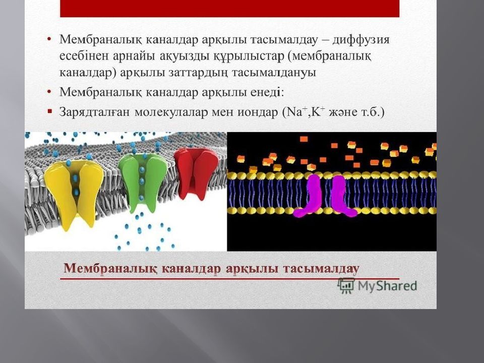 Мембраналық рецепторлар арқылы гормондық сигналдардың берілуі