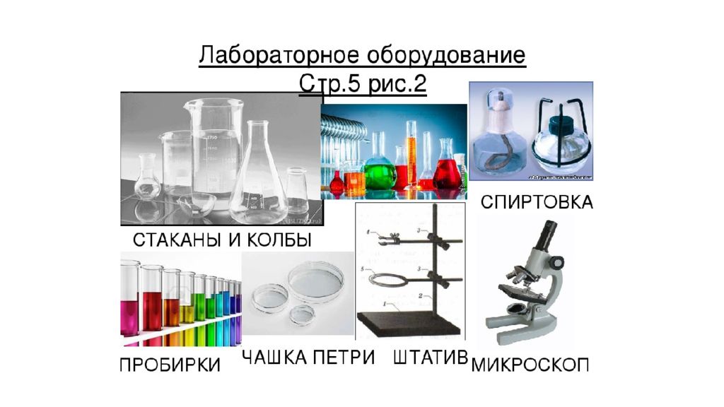 Лабораторная оборудование биология 5. Лабораторное оборудование по биологии. Лабораторные приборы по биологии. Лабораторное оборудование биология названия. Лабораторная посуда биология.