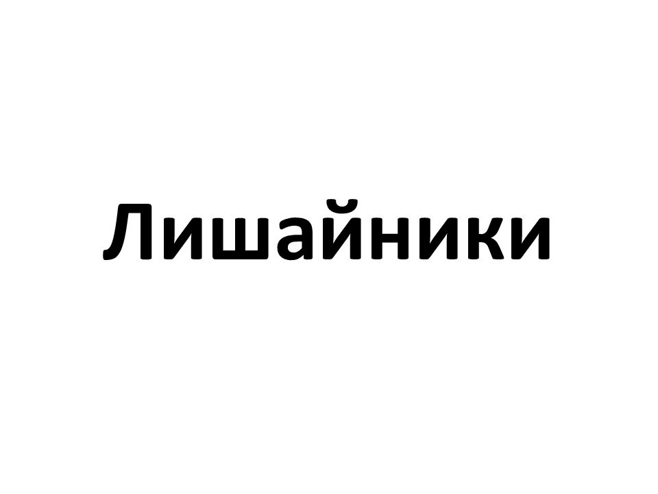 Лишайники