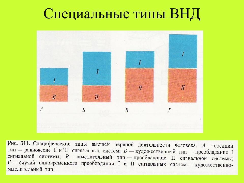 Феномены внд презентация