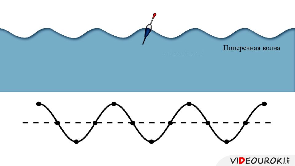 Работа волны физика. Поперечные механические волны. Волны физика. Поперечная волна схема. Поперечные волны физика.