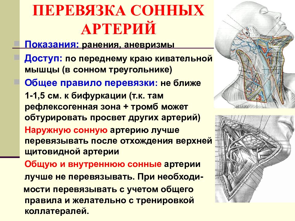 Операции на шее топографическая анатомия презентация