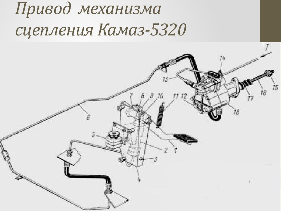 Сцепление камаз 5320