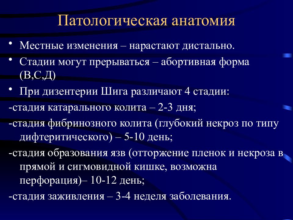 Дизентерия презентация патологическая анатомия