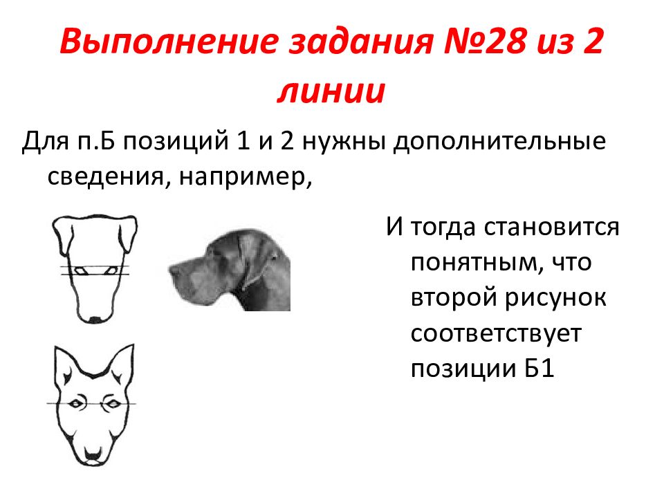 Огэ по биологии задания с картинками