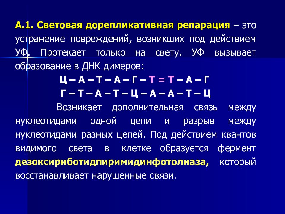 Репарация это. Дорепликативная репарация ДНК. Этапы дорепликативной репарации. Дорепликативная. Схема световой репарации ДНК.