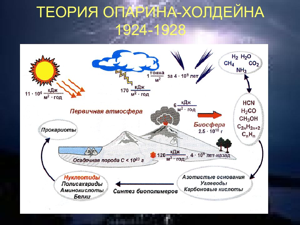 Схема возникновения жизни