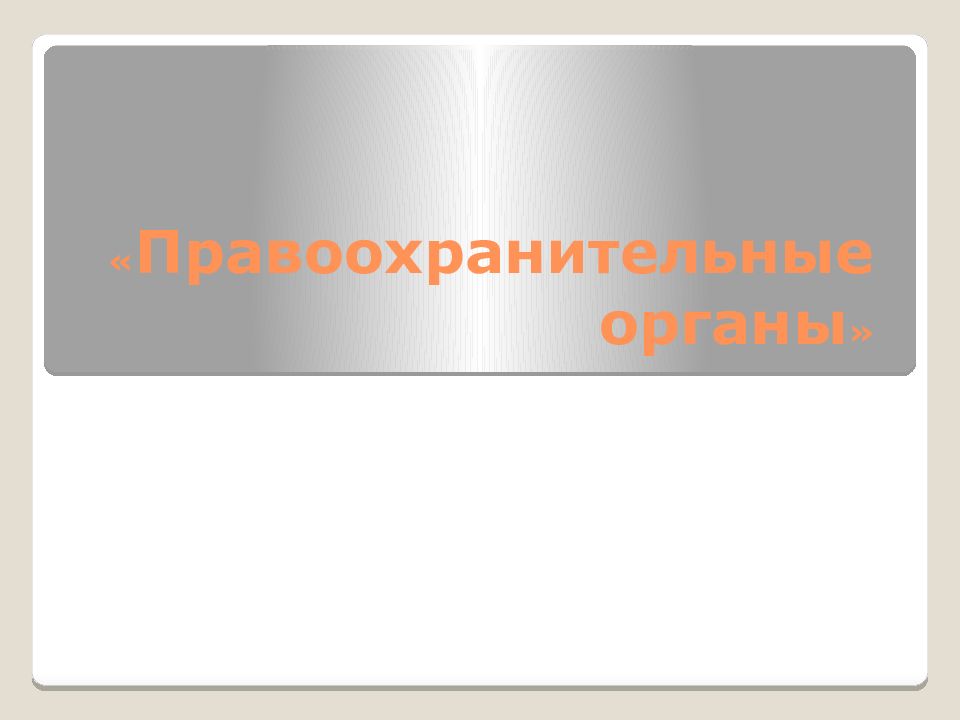 « Правоохранительные органы »