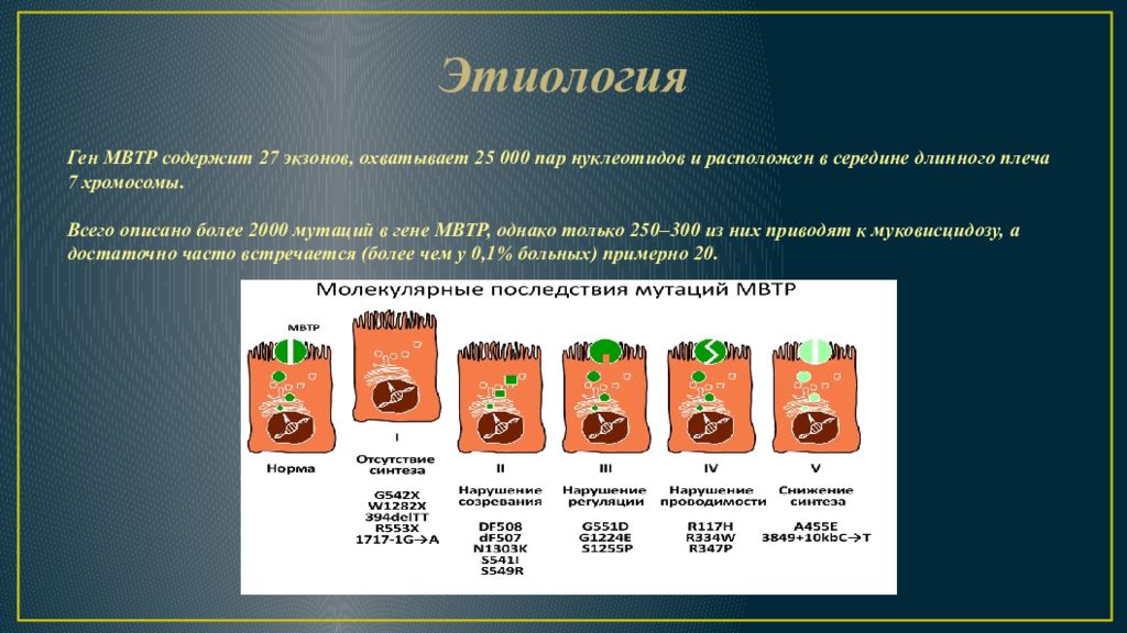 Презентация на тему муковисцидоз