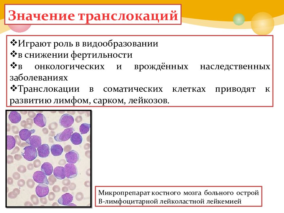 Которые приводят клетки в. Заболевания соматических клеток. Генетические болезни соматических клеток примеры болезней. 2. Роль наследственных факторов в развитии лейкозов. К генетическим болезням соматических клеток относятся.