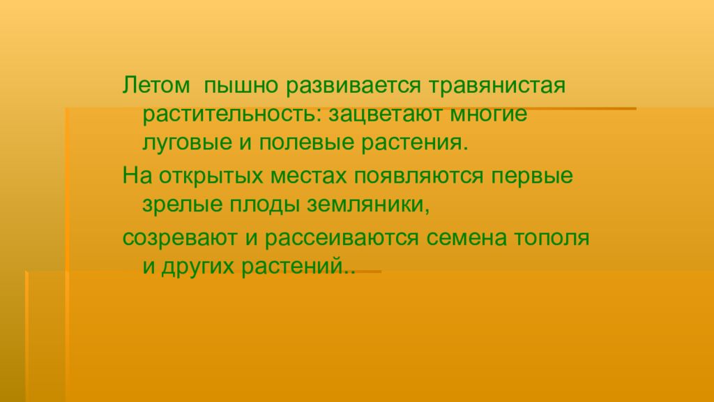 Времена года лето изменения в жизни растений