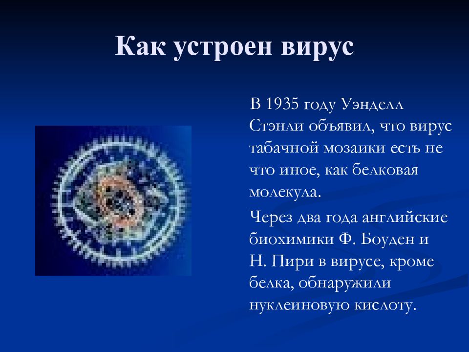 Вирусы биология 10 класс. Как устроены вирусы. Как устроены вирусы кратко. Как устроены вирусы 10 класс. Как устроены вирусы кратко 9 класс.