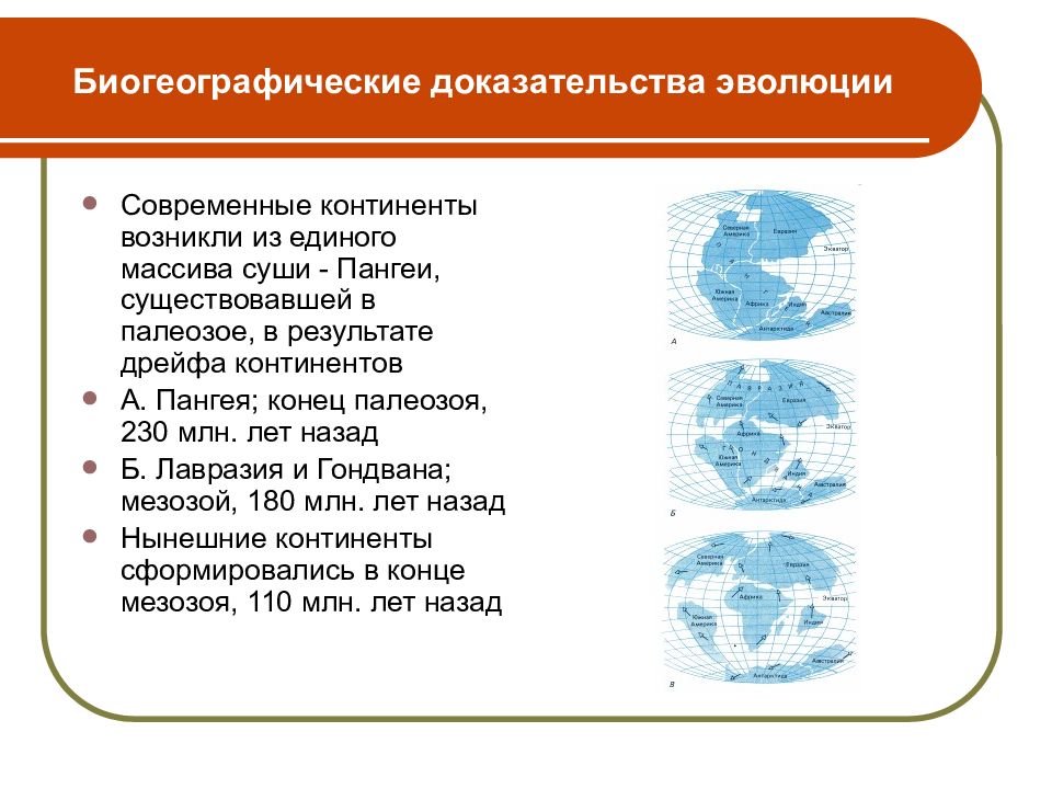 Биогеографические доказательства эволюции картинки