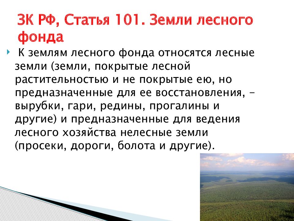 Статья 101. Правовой режим земель лесного фонда. Земли лесного фонда презентация. Что относится к нелесным землям в Лесном фонде. Лесные земли в составе земель лесного фонда находятся.