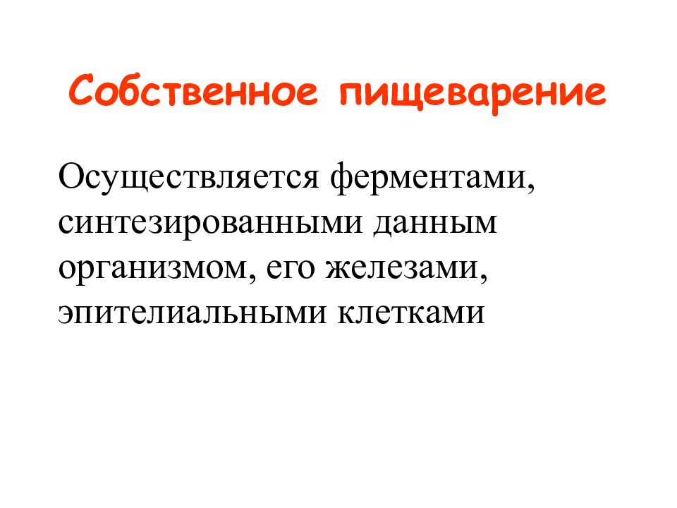 Типы пищеварения. Собственное пищеварение. Собственное пищеварение осуществляется ферментами. Этапы пищеварения. Србственннл пищеварение.