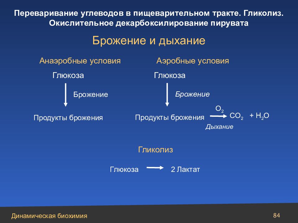 Анаэробное дыхание схема