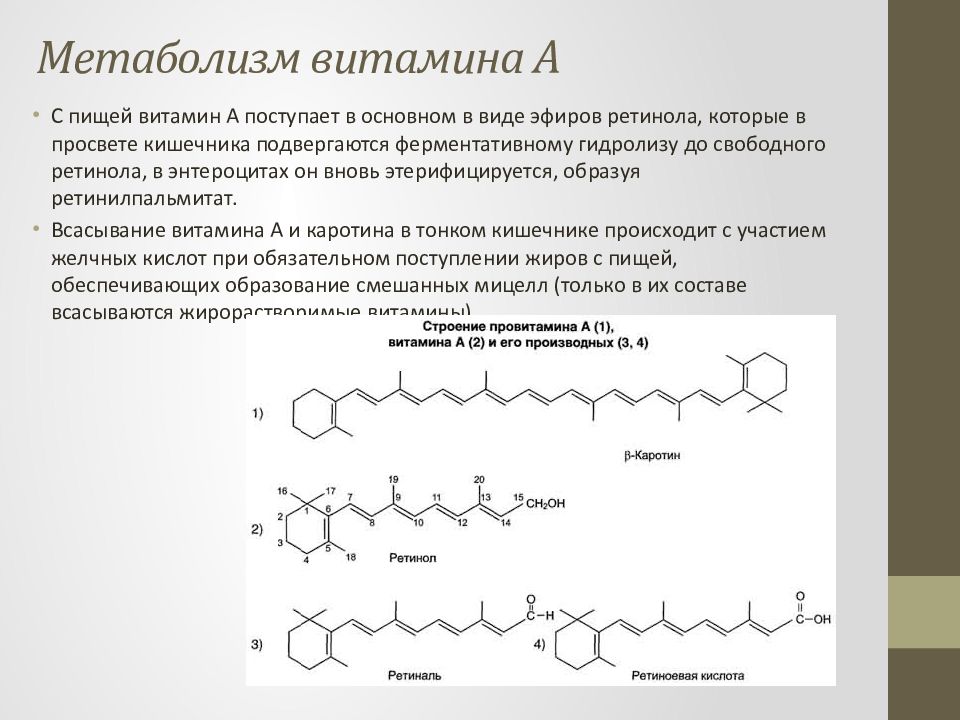 Витамин к презентация биохимия