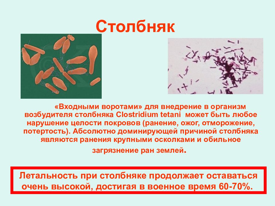 Возбудитель столбняка. Столбняк возбудитель заболевания. Столбняк презентация инфекционные болезни.