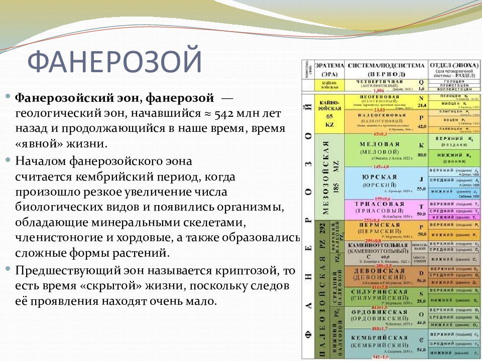 В какую эру геологической истории