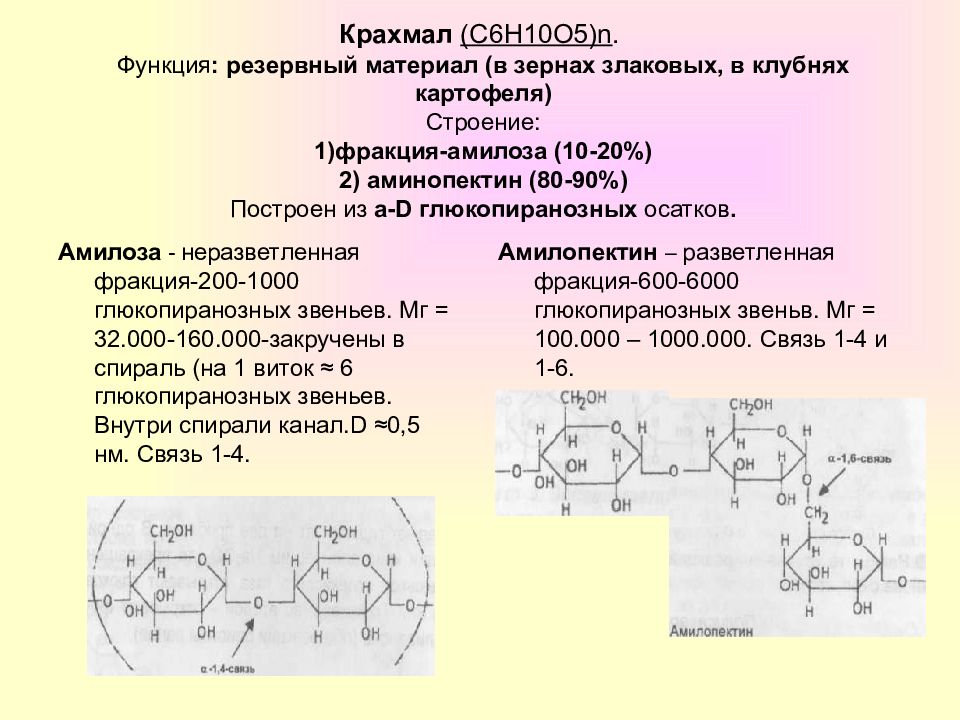 Дисахариды и полисахариды 10 класс химия презентация