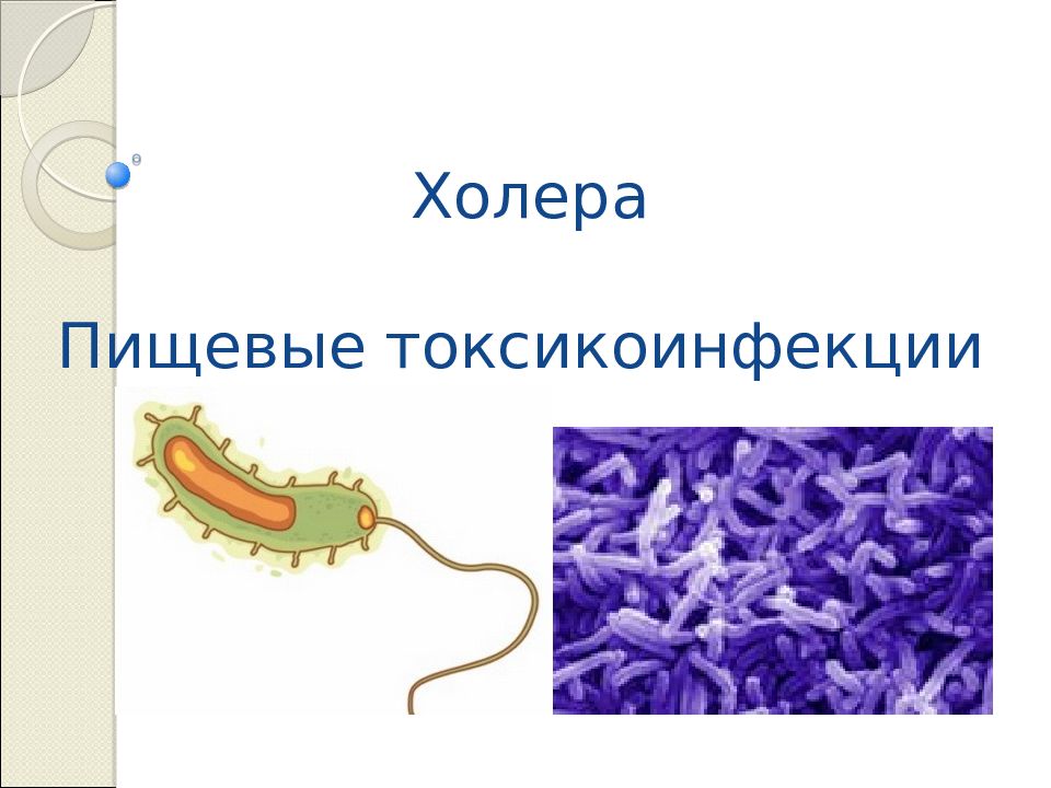 Холера картинки для презентации