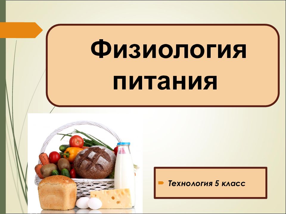 Презентация физиология питания 6 класс технология кулинария