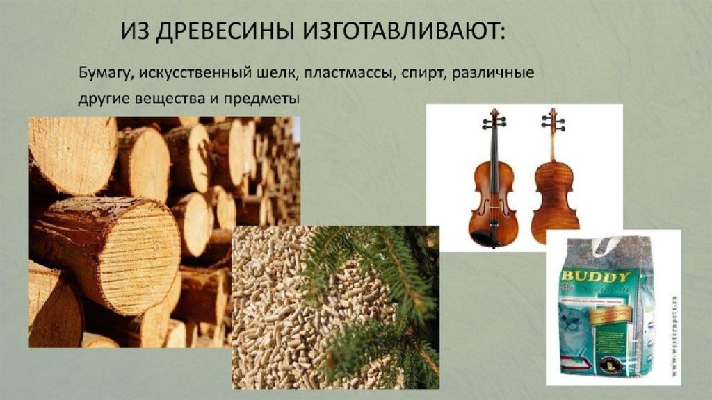 Дерева можно применять для. Предметы изготовленные из древесины. Продукция получаемая из древесины. Что делают из древесины. Что состоит из древесины предметы.