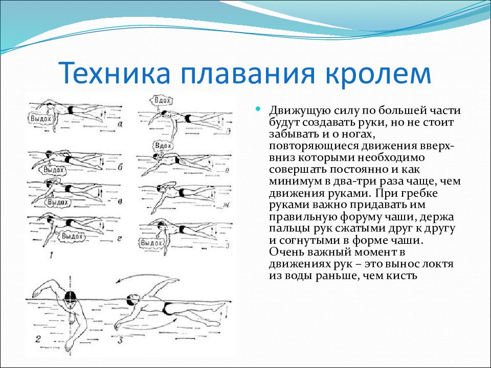 Техника плавания. Основы техники плавания кролем. Средний темп плавания кролем. Средняя скорость у пловцов кролем. Какие мышцы качаются при плавании.