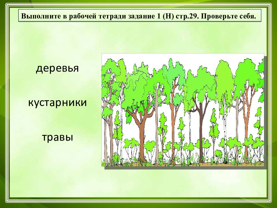 Общество окружающий мир 3 класс презентация