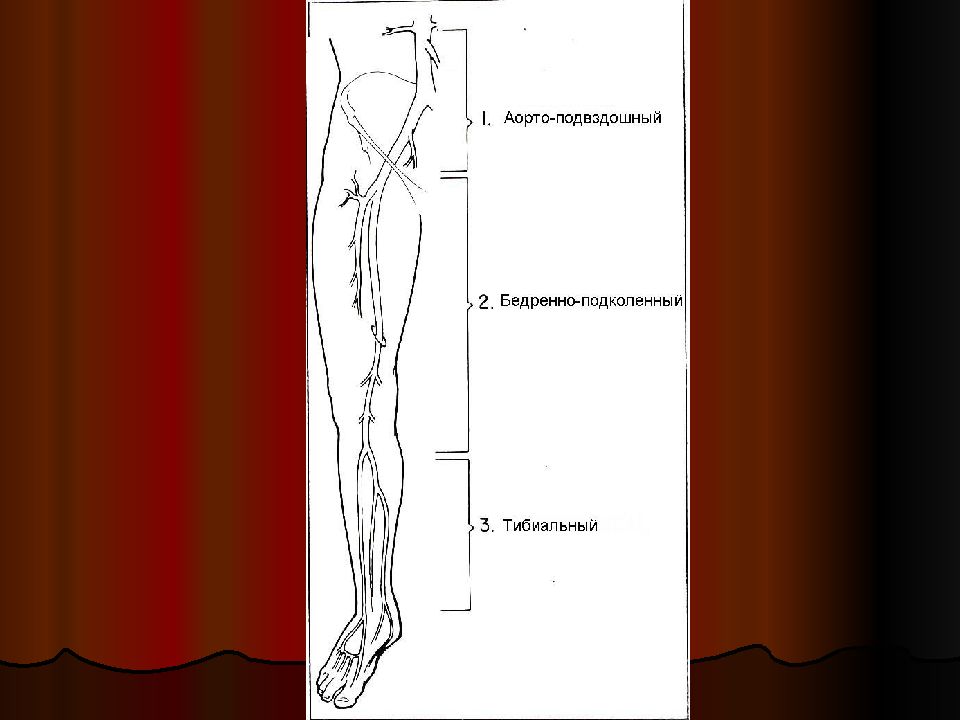 Анатомия артерий нижних конечностей схема для узи