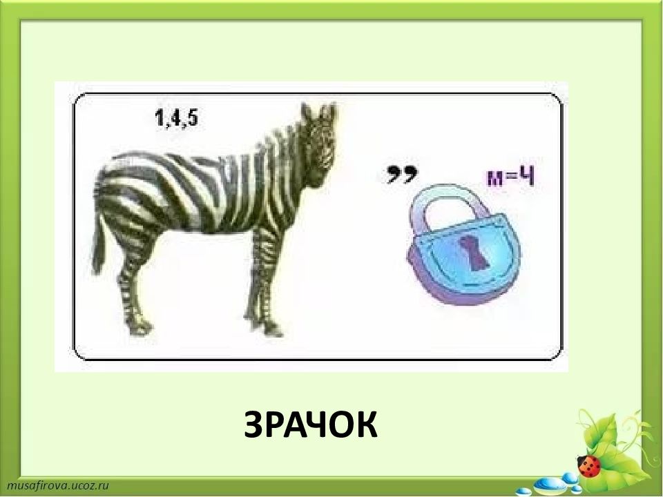 Презентация викторина по биологии 9 класс с ответами