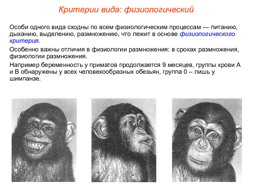 Физиологический вид биология