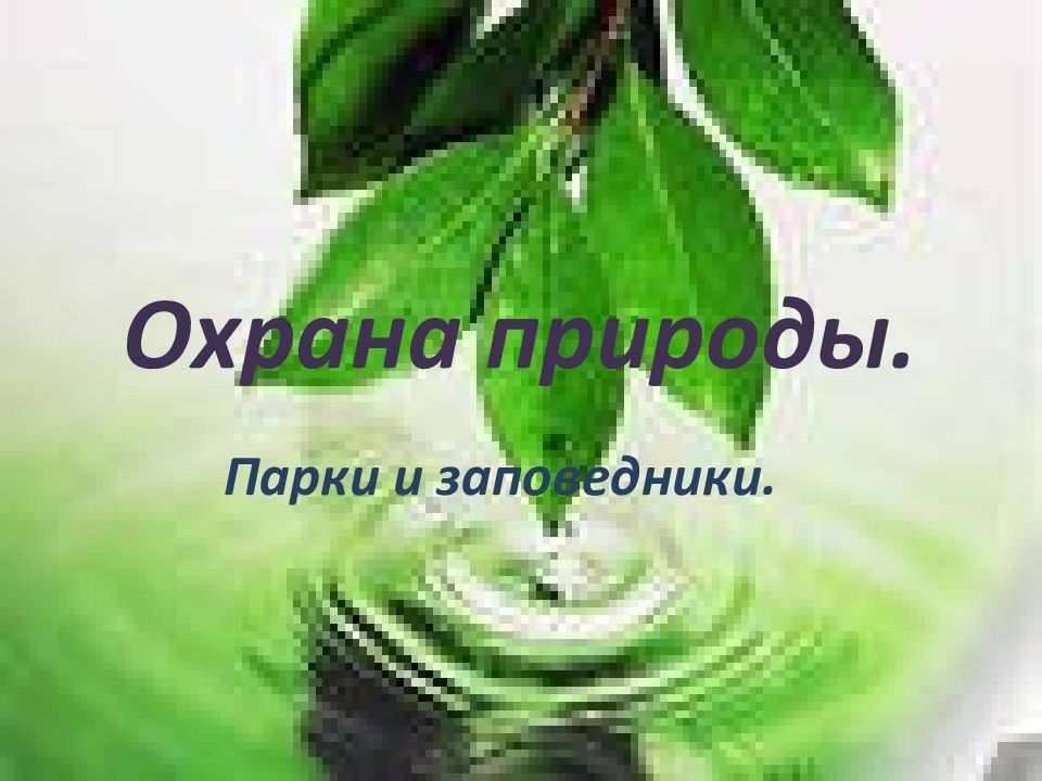 Охрана природы.