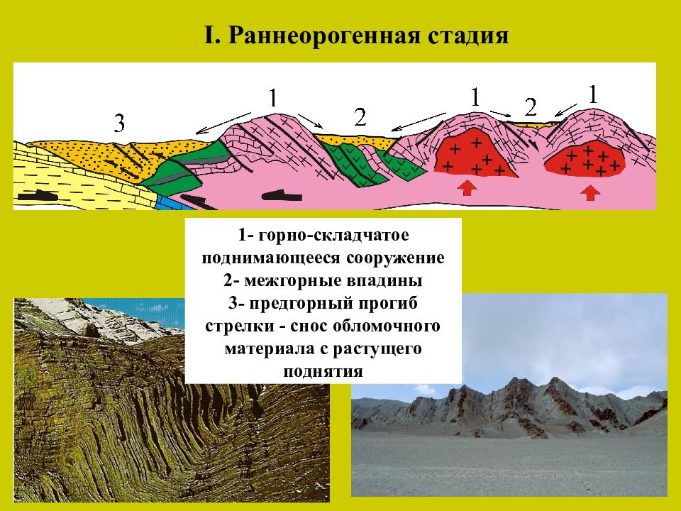 Горные системы в различных областях складчатости. Складчатые структуры земной коры. Горно складчатые сооружения это. Складчатые горные пояса. Складчатая область складчатое сооружение.