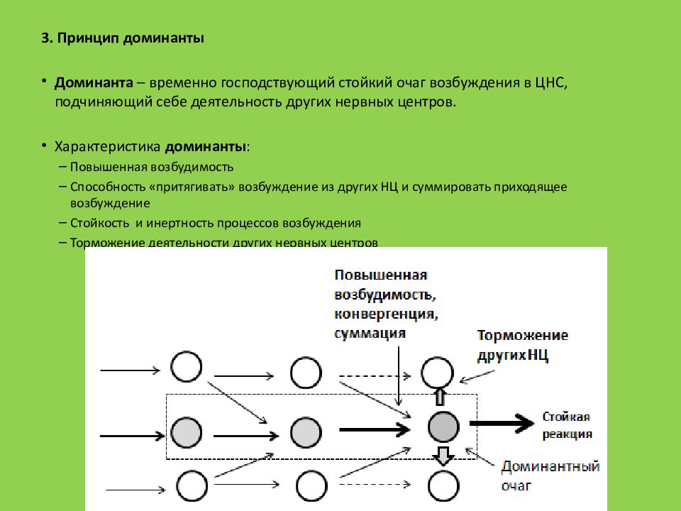 Доминанта картинки биология