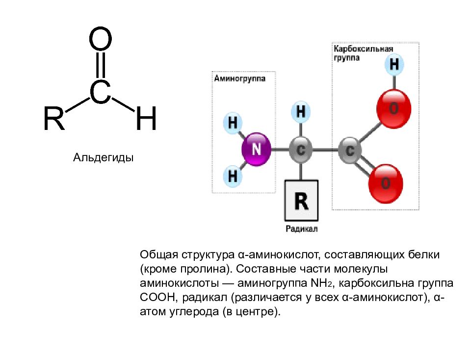 Состав радикалов аминокислот
