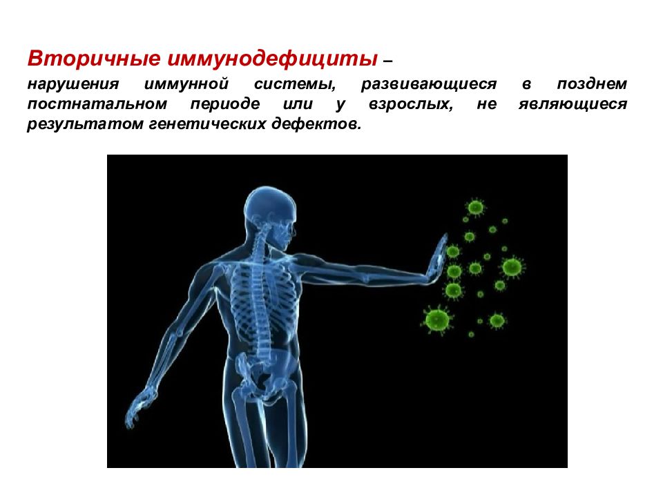 Иммунная система презентация на английском языке