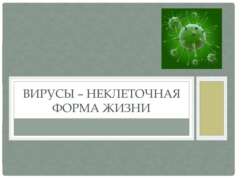 Вирусы – неклеточная форма жизни
