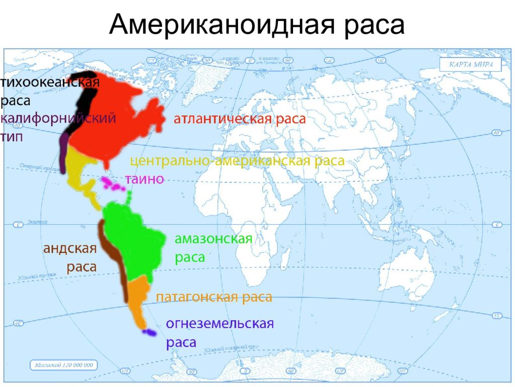 Какая раса в северной америке. Ареалмонголоилной расв. Американоидная раса. Монголоидная раса карта расселения. Распространение монголоидной расы на карте.