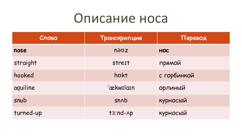 Описание картинки на немецком языке 7 класс впр образец