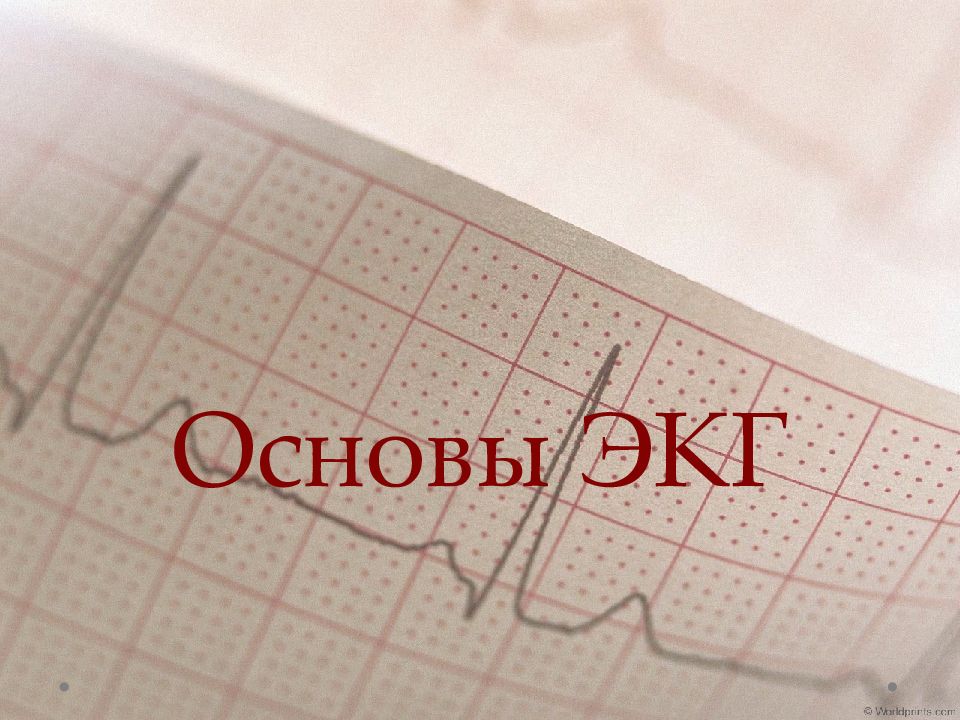 Основы ЭКГ