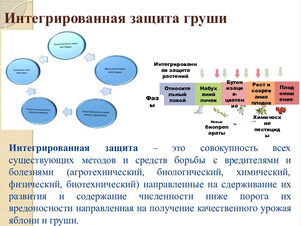 Интегрированная защита груши